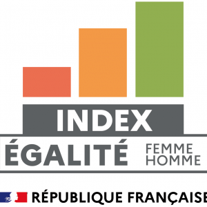 logo-index-egalite-professionnelle